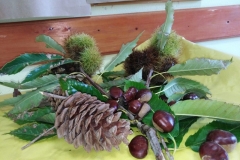 festa autunno 2019 SFH (8)