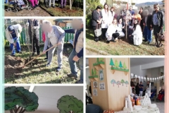 festa degli alberi (2)