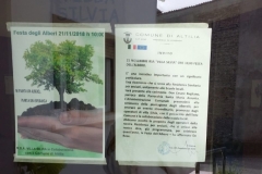 festa degli alberi (5)