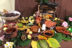 IMG-20211109-WA0015