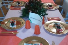 pranzo di natale 2017 VSE (12)