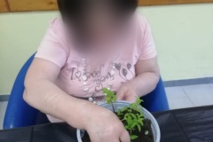 attivita-occ-giard-SFH-2022-11