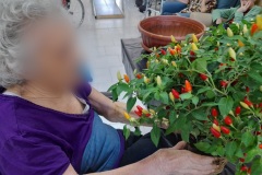 attivita-occ-giard-SFH-2022-14