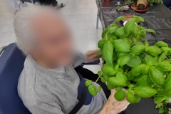 attivita-occ-giard-SFH-2022-15