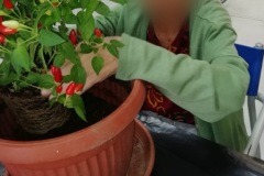 attivita-occ-giard-SFH-2022-3