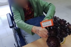 attivita-occ-giard-SFH-2022-7