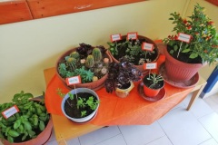 attivita-occ-giard-SFH-2022-8