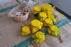 foto chiave villa silvia